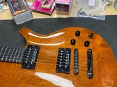 Parkey Fly guitar